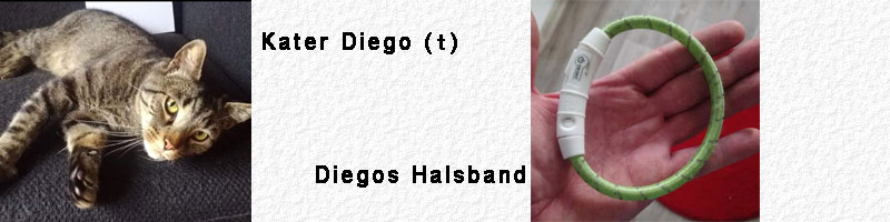 2018_07_15_Diego (42K)